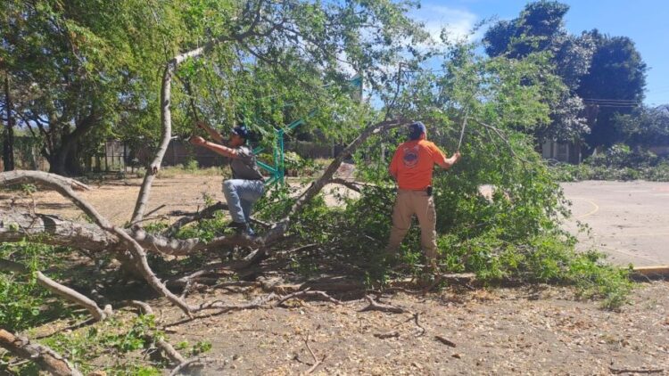 Ahuacatlán fortalece la seguridad y la imagen urbana