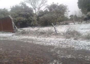 Heladas en la zona sur del estado: el frío cala hasta los huesos