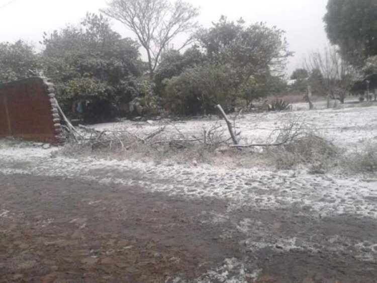 Heladas en la zona sur del estado: el frío cala hasta los huesos