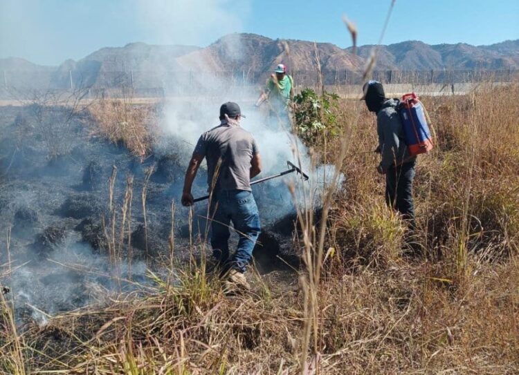 Rápida intervención de Protección Civil de Jala sofoca incendio de pastizales