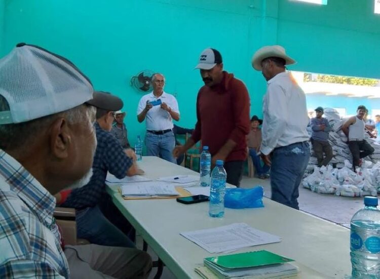 Entregan apoyo especial a productores de calabaza en Santa Cruz de Camotlán