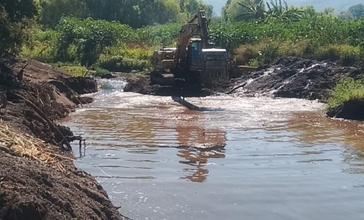Recuperan el cauce original del río para proteger la producción agrícola