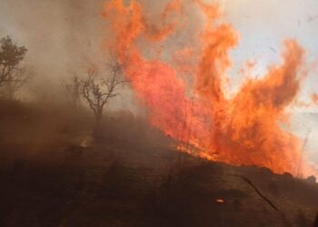 Un fin de semana de llamas y devastación en el sur de Nayarit