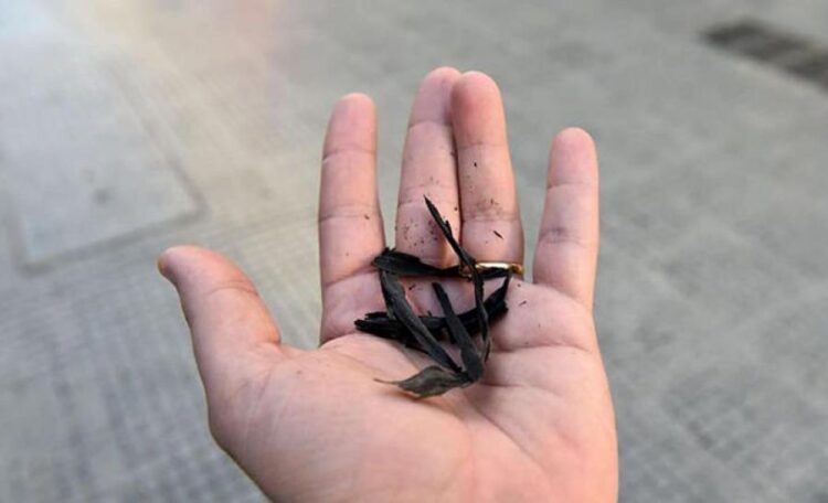 Lluvia negra” afecta a barrios y colonias de Ahuacatlán