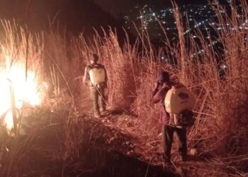 Arranca con gran respuesta la campaña de vacunación antirrábica en Ahuacatlán