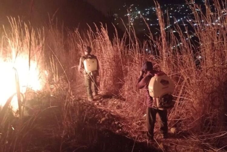 Arranca con gran respuesta la campaña de vacunación antirrábica en Ahuacatlán