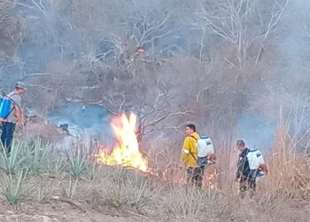Alumno del CBTis 27 de Ixtlán participaráen Festival Académico Nacional