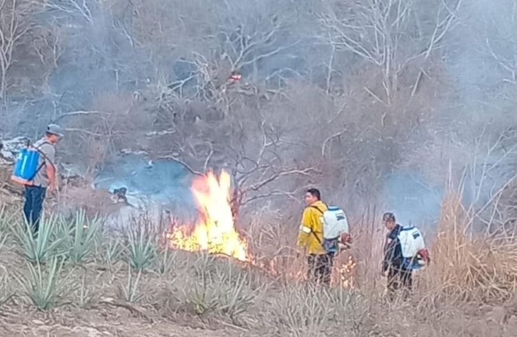 Alumno del CBTis 27 de Ixtlán participaráen Festival Académico Nacional