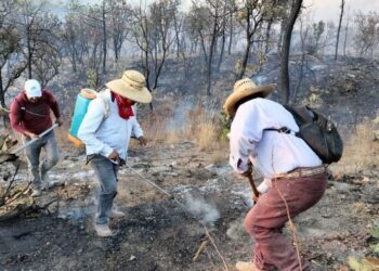 Alumno del CBTis 27 de Ixtlán participaráen Festival Académico Nacional