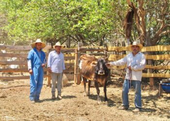 Alumno del CBTis 27 de Ixtlán participaráen Festival Académico Nacional