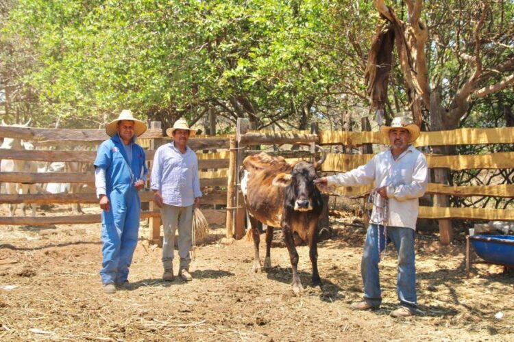 Alumno del CBTis 27 de Ixtlán participaráen Festival Académico Nacional