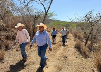 Jornada por la Paz en Ahuacatlán: éxito rotundo y participación ciudadana