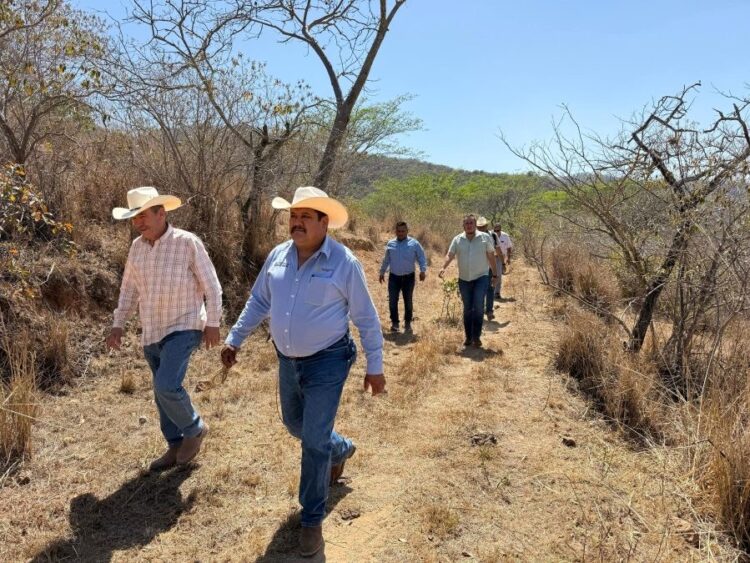 Jornada por la Paz en Ahuacatlán: éxito rotundo y participación ciudadana