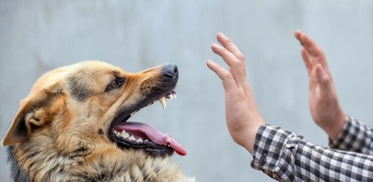 Manolo Andalón reconoce esfuerzo y creatividad de emprendedores de Ahuacatlán