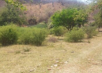 Arranca la primera campaña de descacharrización 2025 en Ahuacatlán