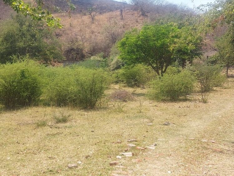 Arranca la primera campaña de descacharrización 2025 en Ahuacatlán