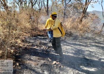Sofocan conato de incendio forestal entre El Refilón y Miravalles
