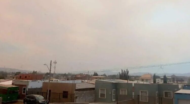 Paulina Barajas, de Ahuacatlán, una líder que inspira y deja huella