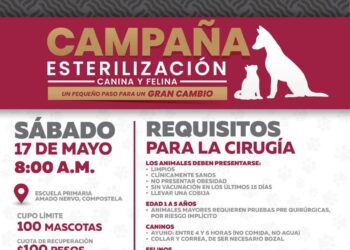 Lupita Miranda cautiva Ahuacatlán con su libro “Conociendo a Amado Nervo”