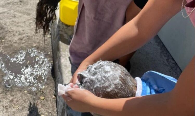 Jala refuerza el cuidado infantil con campaña de salud, en Coapan