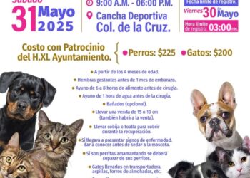 Jala lanza campaña de esterilización canina y felina 2025, este sábado 31 de mayo