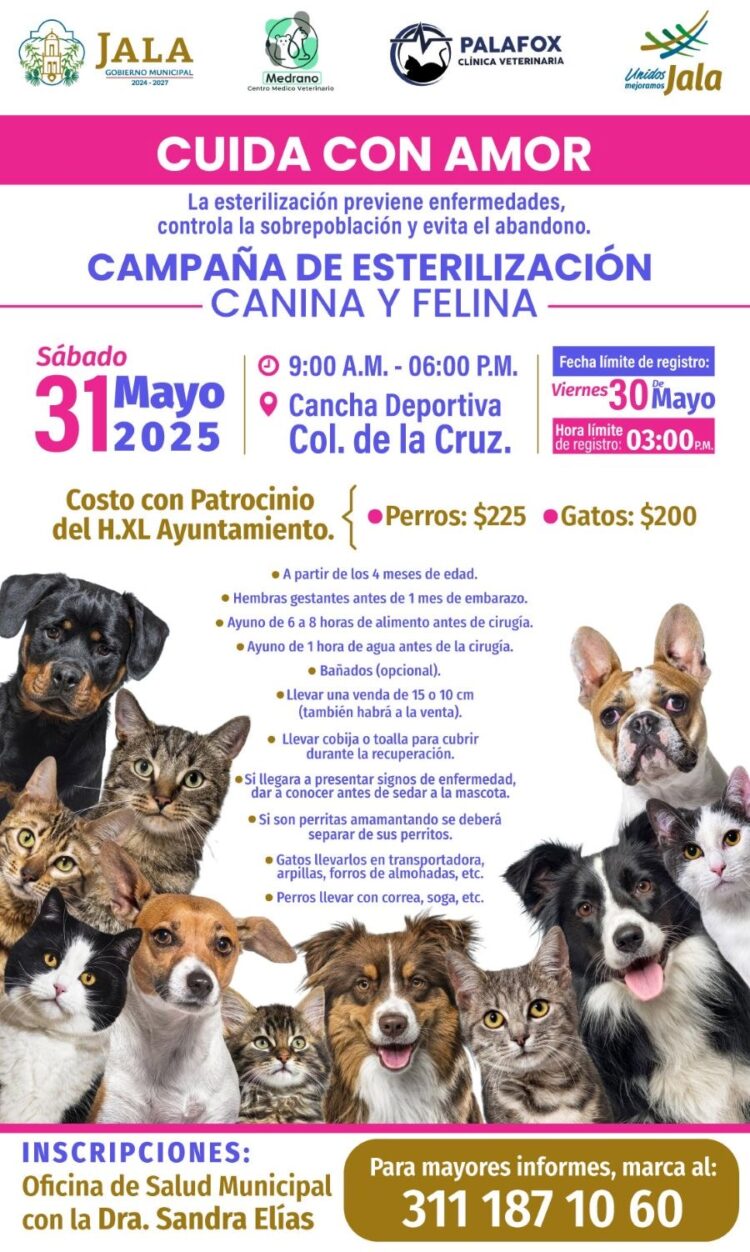 Jala lanza campaña de esterilización canina y felina 2025, este sábado 31 de mayo