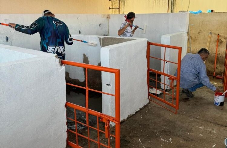 Rehabilitan el rastro municipal de Compostela tras 15 años de abandono