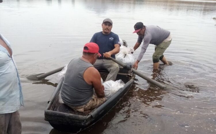 San Pedro Lagunillas repuebla su Laguna con 88 mil alevines de tilapia