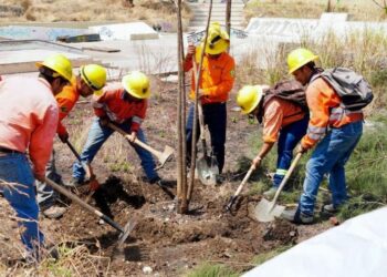 Estadio NAO: Nayarit construye con raíces verdes y compromiso ambiental