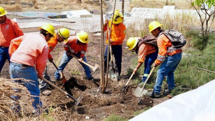 Estadio NAO: Nayarit construye con raíces verdes y compromiso ambiental