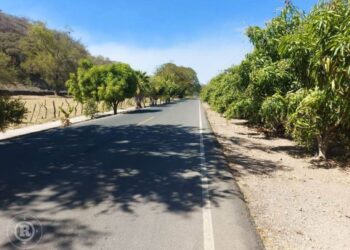 Andador «Arca de Noé»: un pulmón verde lleno de vida y tradición en Ahuacatlán