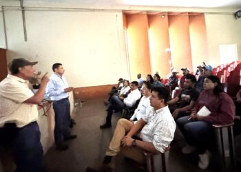 San Pedro Lagunillas se perfila como nuevo referente aguacatero  