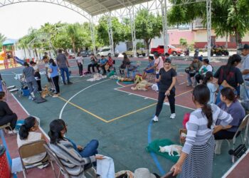 Campaña de esterilización canina y felina en Jala, arroja buenos resultados
