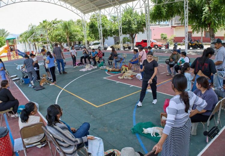 Campaña de esterilización canina y felina en Jala, arroja buenos resultados
