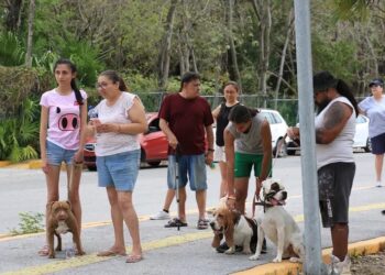 Se suma el “Paseo Canino” a las actividades de la Feria del Elote Jala 2025