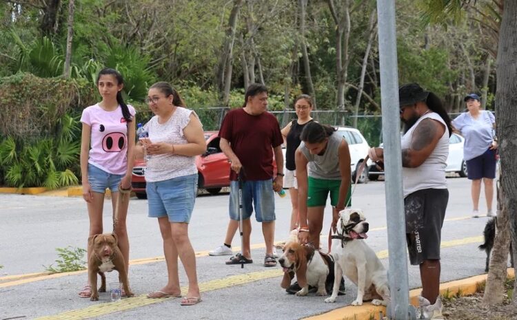 Se suma el “Paseo Canino” a las actividades de la Feria del Elote Jala 2025