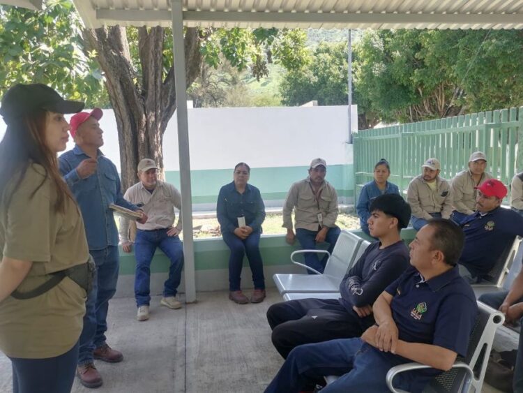 En Jala capacitan a personal del Ayto. para combatir enfermedades transmitidas por el mosquito