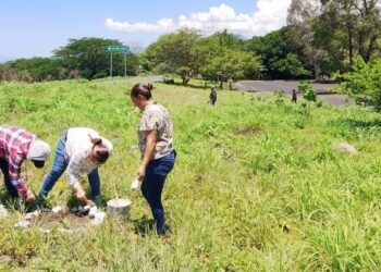 Reforestan parador turístico El Ceboruco, en Ahuacatlán