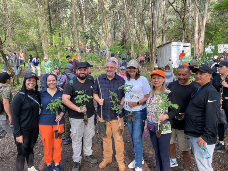 Nayarit siembra futuro y esperanza: Cientos se unen para reforestar el Cerro de San Juan