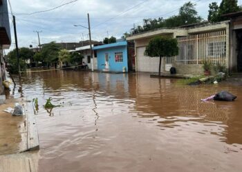 Juniors y Panteras conquistan el torneo de basquetbol de verano en Ahuacatlán