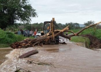Juniors y Panteras conquistan el torneo de basquetbol de verano en Ahuacatlán