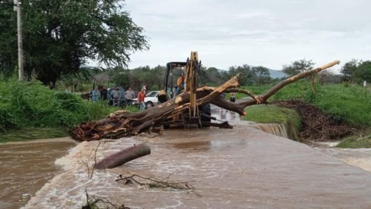 Juniors y Panteras conquistan el torneo de basquetbol de verano en Ahuacatlán