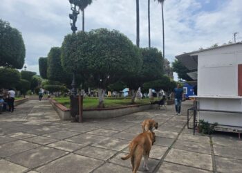 Ahuacatlán refuerza trabajos de bacheo en calles principales