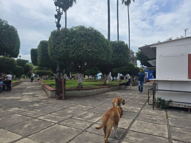 Ahuacatlán refuerza trabajos de bacheo en calles principales