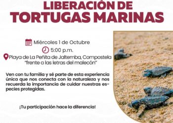 La Presa se corona campeona en la final de barrios de Ahuacatlán