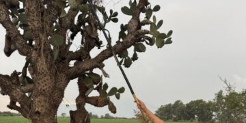 La jornada más dolorosa de mi vida