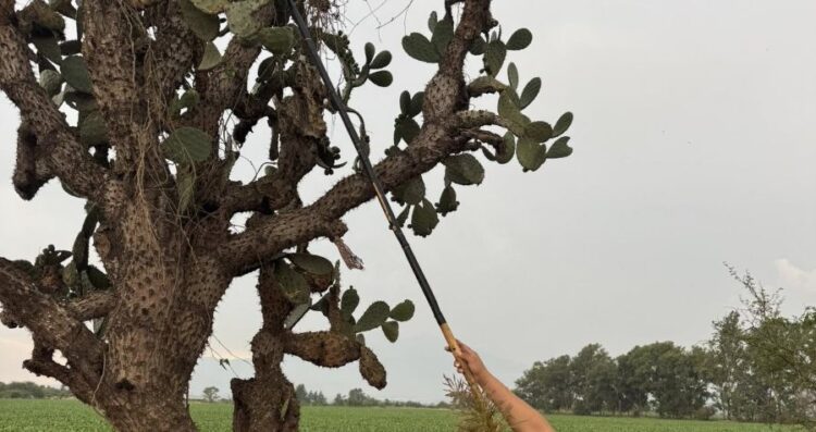 La jornada más dolorosa de mi vida