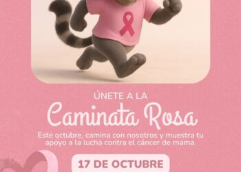 Gobierno de Ahuacatlán limpia carretera hacia Amatlán de Cañas