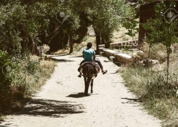 “El día que un burro me dio clases de vuelo”