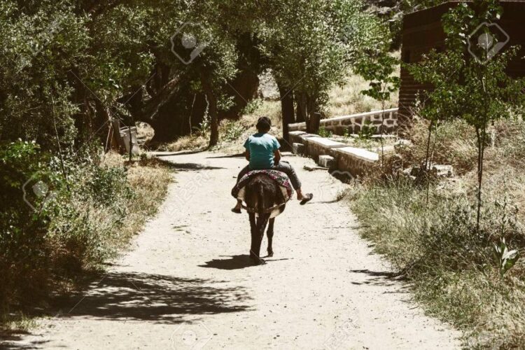 “El día que un burro me dio clases de vuelo”